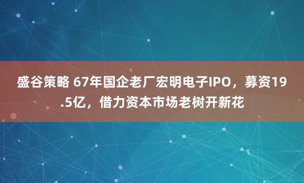 盛谷策略 67年国企老厂宏明电子IPO，募资19.5亿，借力资本市场老树开新花