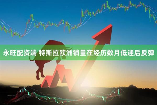 永旺配资端 特斯拉欧洲销量在经历数月低迷后反弹